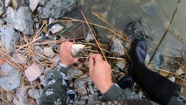 2022 Жор карася на озере Уелги смотреть онлайн