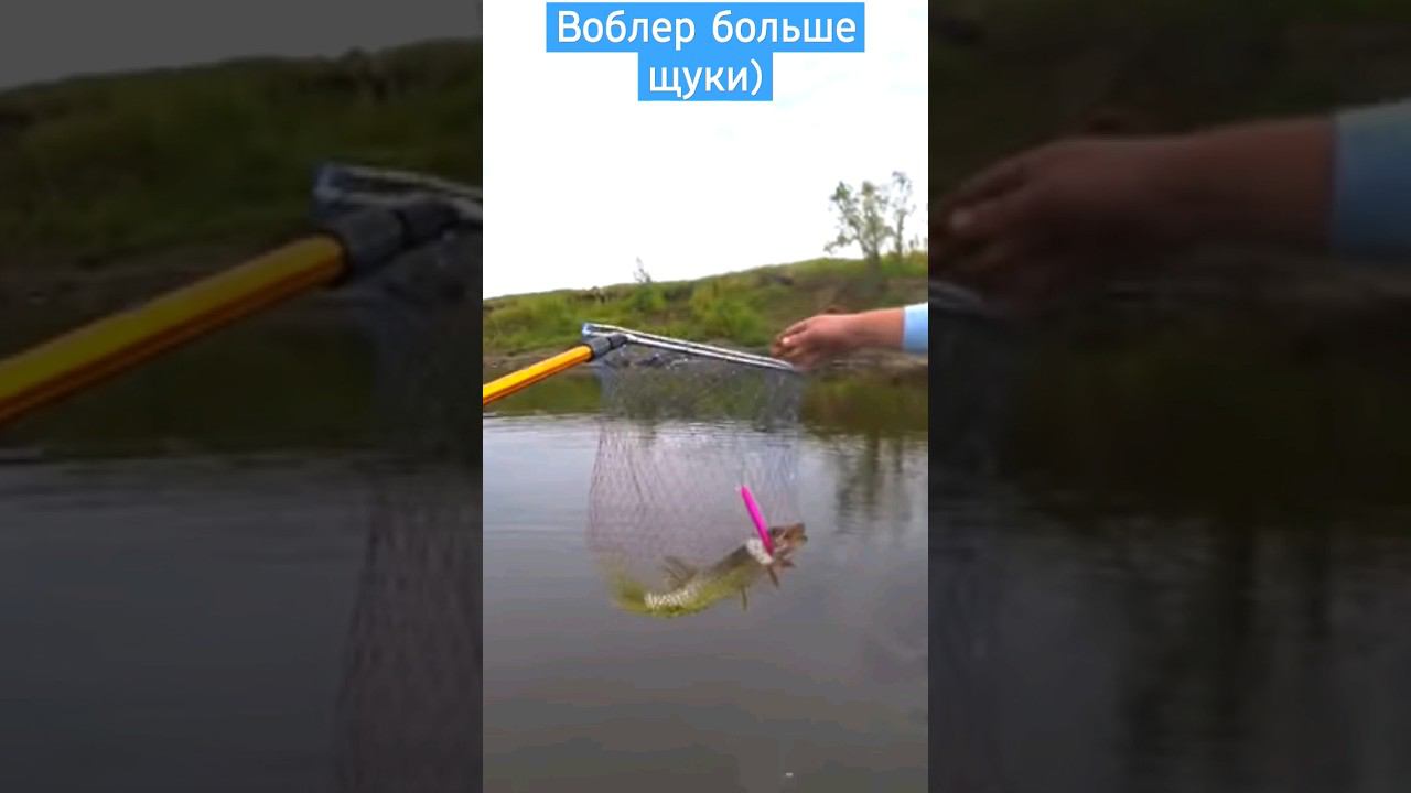 Воблер "больше" щуки #щука #рыбалка #воблер смотреть онлайн