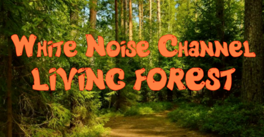 #БелыйШум Живого леса / #Пениептиц в лесу / #Whitenoise LivingForest​ / #Настоящийлес