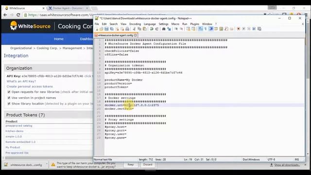I OpenSource 管理工具 I WhiteSource – How to Use The Docker Agent смотреть онлайн
