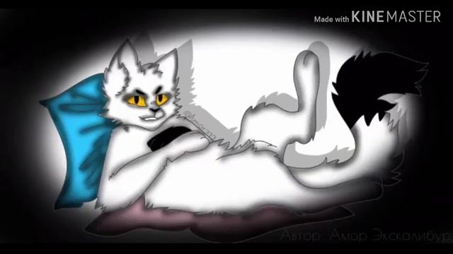 Ищу пару кошку пошлу~ + новый окрас смотреть онлайн