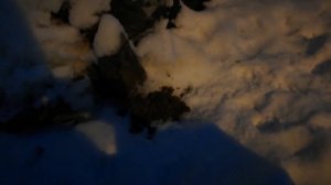 Ритуал "Снятие покрывала вдовы"