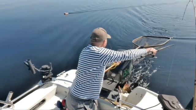 Гидрокрыло StingRay XRIII. Часть 2: использование - опасно (тесты на рыбалке). смотреть онлайн