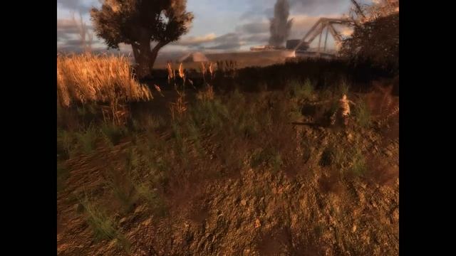 Собака Болотного Доктора смотреть онлайн