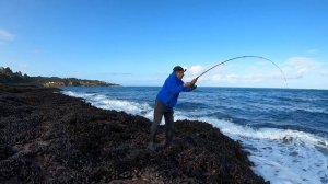 ОКУНИ ГИГАНТЫ ТИХОГО ОКЕАНА. РЫБАЛКА В США