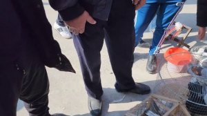 Проверяем продавцов на честность. Покупаем голубей и отпускаем в небо.Птичий рынок Самарканд.