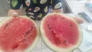 21 июля 2021 г.  Первый арбуз МУЛАТ. Козы высоко оценили его вкусовые качества?