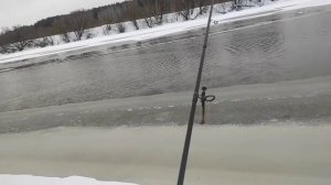 Maximus Villaine 2.7m, 5-21 gr. Обзор.