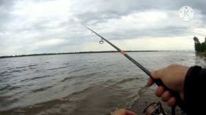 Рыбалка в Саратове. Разлавливаем новый цвет.