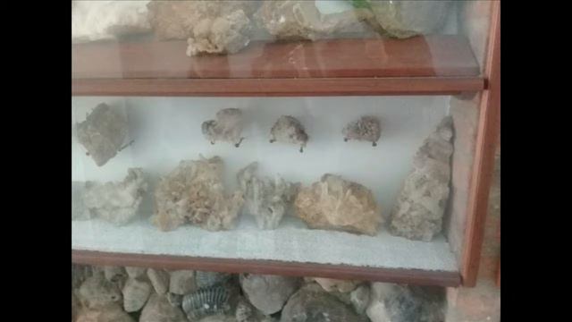 VIDEO VILLA DE LEYVA 2 смотреть онлайн