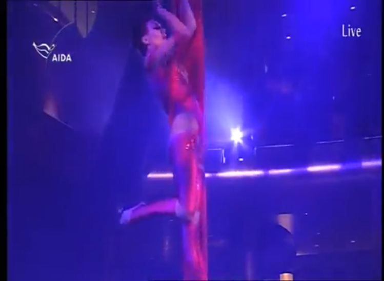 Svetlana aerial silk