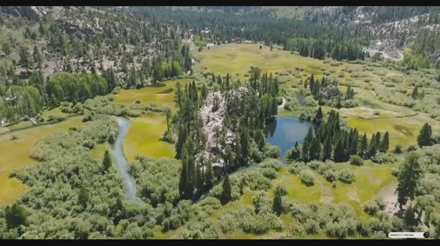 МОЩНАЯ РУКЪЯ ОТ БОЛЕЙ В ДУШЕ ОТ ГЛАЗА И ПОРЧИ ОТ КОЛДОВСТВА СИХРА.Лечит много болезни ИНШААЛЛАХ!