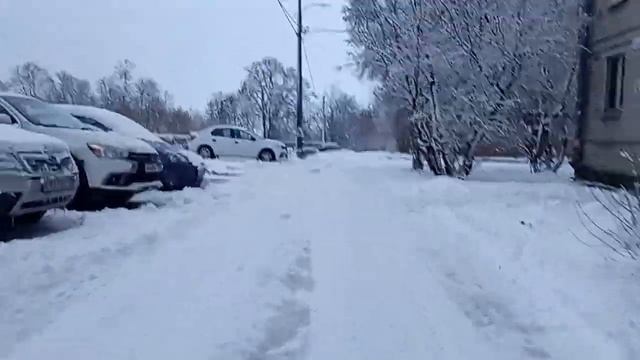 Прогулка по городу "Ломоносов" (1 февраля 2023г.) (Время: 16:20-16:37) смотреть онлайн