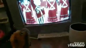 Грустные новости?  *сорян за звук, качество и т.д.*