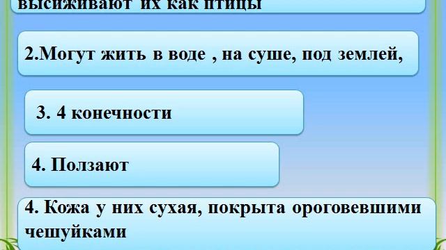 Окружающий мир. Животные: птицы, звери, насекомые, рыбы, пресмыкающиеся, земноводные.