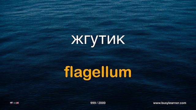 1/2. Learn 4500 useful Russian words easily. Study Russian language while listening to piano music. смотреть онлайн