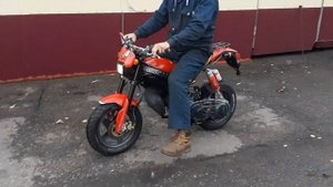 Suzuki street magic
