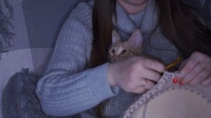 АСМР Для Сна С Уютным Котом ?/ ASMR For Sleep With Cozy Cat