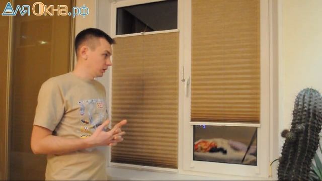 Шторы-плиссе (жалюзи-плиссе) Cosiflor