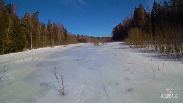 Весна в парке Лосиный остров. Нехлюдов рукав.