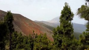 Mirador de la Crucita. Teide. Tenerife.