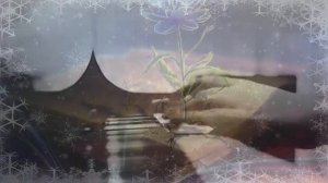 Осень разбросала листья .