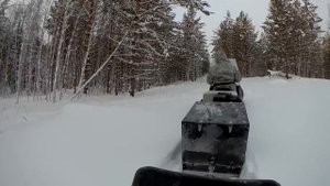 Мотобуксировщик Ураган Сибирь с модулем Толкач. Прогулка по тайге и проверка ловушек на соболя.