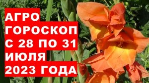 Агрогороскоп с 28 по 31 июля 2023 года. Агрогороскоп з 28 по 31 липня 2023 року