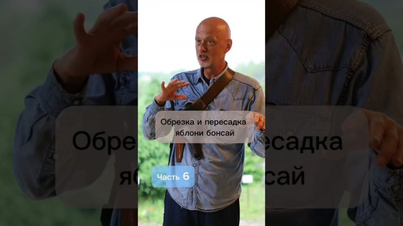 Обрезка и пересадка яблони бонсай. Часть 6.