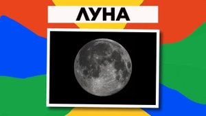 Вы Можете Стать Правителем Этих Земель