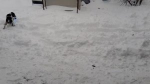 Выходной! Завалило снегом! Едем на дачу, чистить снег и жарить шашлыки!