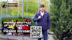 План работ на винограднике в мае?