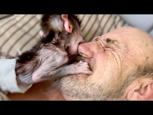 ВЕСЁЛОЕ УТРО! Степашка с Владом просыпаются! Как Стёпа готовился к СПРИНТЕРСКОМУ БЕГУ!