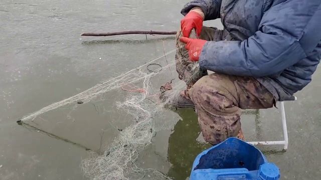 Эксртемальная проверка сетей по тонкому льду. Постановка сетей в новом зимнем сезоне 23-24 года. смотреть онлайн