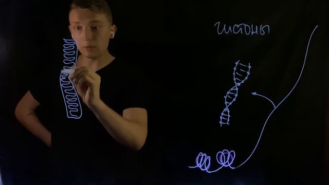 Строение хромосомы для ЕГЭ | Andrey Biology