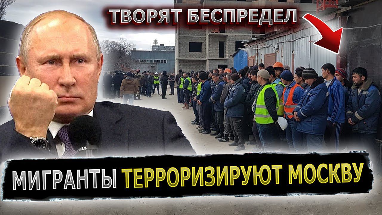 ПУТИН РАЗОБРАЛСЯ С МИГРАНТАМИ В КОТЕЛЬНИКАХ #пранк #пранки #котельники #мигранты #мигрант смотреть онлайн