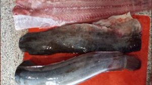 Что приготовить из сома?