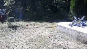 STIHL FS 38 vs. STIHL FS 56 RC In Cut Grass
