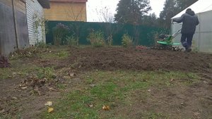 Разработка целины культиватором !