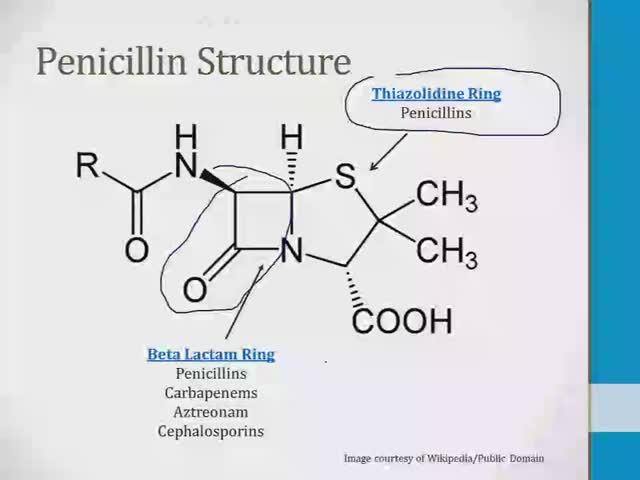 Инфекционные заболевания USMLE - 3. Антибиотики - 2.Бета-лактамы