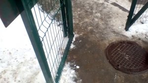 Доводчик на калитке