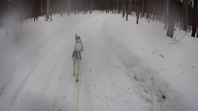 зимняя сказка день 1 смотреть онлайн