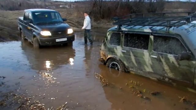 Нива Рысь