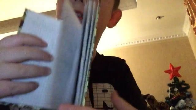 Тихо пробираюсь к сестре. Показываю блокноты ? и ежедневник смотреть онлайн