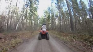 12 минут квадро транса на Avantis Hunter.