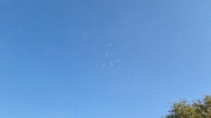 Голубеводы Жетысу. В гостях у Берикжана Жансугуров. Высоколётные бойные Голуби. Пакистанцы.