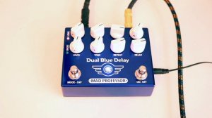 Mad Professor Dual Blue Delay Demo
