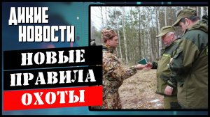 Новые правила охоты_Запрет охоты в Сочи_Отстрел Карельского медведя_Дикие новости