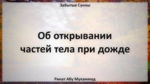 78. Об открывании частей тела при дожде || Ринат Абу Мухаммад