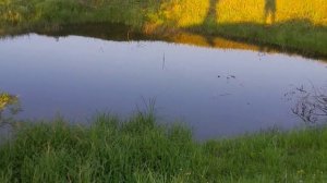 Село Залог 16.06.2024